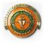 FAMU National Alumni Associationlogo